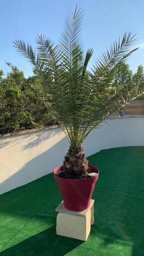 Le Jardin Des Hirondelles Bed and Breakfast Blanzaguet-Saint-Cybard Εξωτερικό φωτογραφία